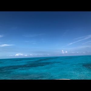 Meet your Posher, Sophia